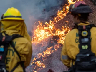 17-year-old charged with arson over New Jersey wildfire