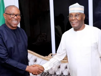 2027: Peter, Atiku can't work together, coalition dead on arrival - Wike's aide