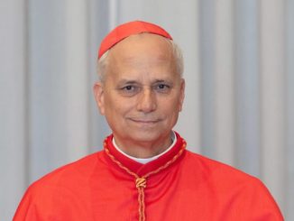 BREAKING: Cardinal Robert Prevost elected new Pope