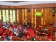 BREAKING: Senate passes Rivers 2025 budget for second reading