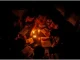Birnin Kebbi thrown into total darkness as transmission towers collapse 