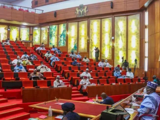 Boko Haram: Redeploy sufficient personnel - Senate tells Nigerian military after killing of soldiers