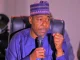 Borno: Gov Zulum signs orders banning indiscriminate tree felling