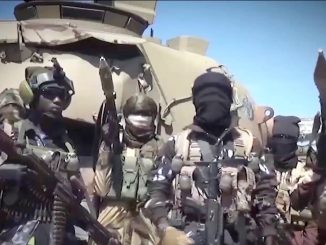 Borno: ISWAP kills 23 farmers, kidnaps 18 others