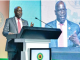 Centre Backs Komolafe On $600bn Lifeline For Africa’s Energy Needs
