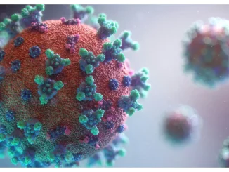 Confidential Reports Raise Concerns Over Biosafety Practices at U.S. Military Lab in Nigeria