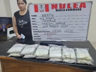 Court Adjourns Drug Case Against Indian Woman Over Lack Of Interpreter In Kano