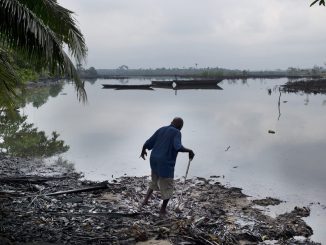 Effects of oil spill in Niger Delta reason for radicalism, resentment - Prof Owolabi