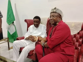 Enugu: Ogugu Ntu-egbenese community symbolizes unity, grace - Ex governor, Nwobodo