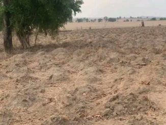 Farmer cries out as herdsmen destroy cassava farm in Nasarawa