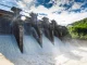 Federal Gov’t Launches $500m Scheme To Boost Irrigation, Hydropower In 17 States