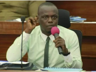 Forest guards: Tinubu's decision will restore sanity nationwide - Ex-lawmaker, Ichita