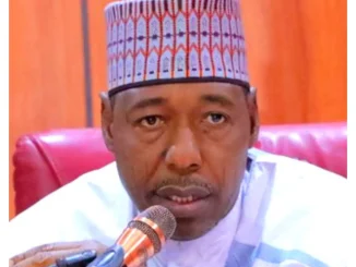 Gov Zulum bans sale of alcohol in Borno