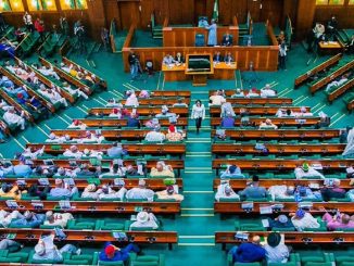 House of Reps Moves to Make Voting Compulsory for All Nigerians