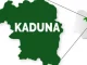 Worries As Kaduna Govt Alerts Public On Outbreak Of Diphtheria Disease In The State