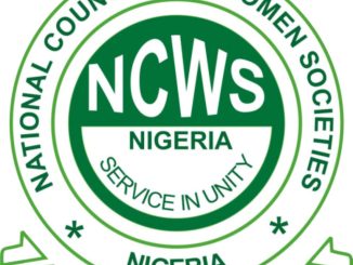 NCWS seeks law to ban girl-child street hawking in Kebbi
