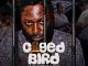 NGO To Premiere ‘Caged Bird’ Film On Nigeria’s Justice System