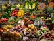 Need For Caution Over GMO Foods