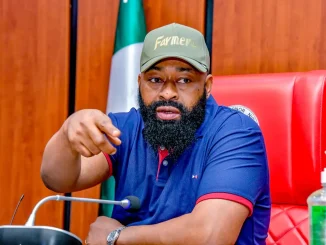 Niger: Gov Bago approves six months maternity leave for nursing mothers