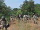 Three ISWAP Commanders, 43 Terrorists Killed In Borno