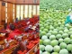 Nigerian Senate to criminalise ripening of fruits with chemicals