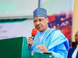 Nigerian govt moves to criminalise usurpers of govt assets at night