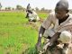 Niger’s 65,000 Farmers Get Farm Inputs From Firm