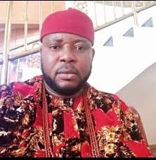Ohanaeze Youth Council Seeks Removal Of Defence Minister Amid Escalating Insecurity
