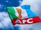 APC Wins All Chairmanship, Councillorship Seats In Ogun LG Election