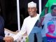 Peter Obi and Atiku featured in joint 2027 campaign poster as presidential, VP candidates