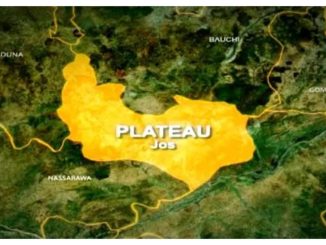 Plateau group rejects Tinubu's nominee for North Central Development Commission