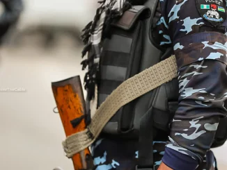 Police Arrest 200 Suspected Criminals, Rescue 130 Kidnap Victims In Katsina