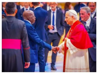 Pope installation: Let's harness Nigeria's diversity to promote our progress - Tinubu