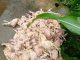 Poultry Farmer, Others Seek Help As Flood Ravages Akwa Ibom Community
