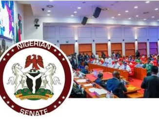 Senate Moves to Convene National Summit Over Insecurity in Nigeria- Newsone