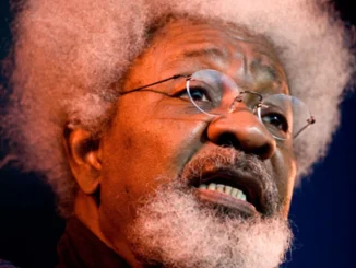 Soyinka explains why Nigeria must promote local languages, culture