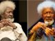 “Speak your African language to your children” - Soyinka tells parents