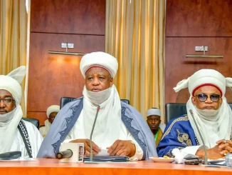 Sultan of Sokoto expresses deep worry over escalating insecurity in northern region