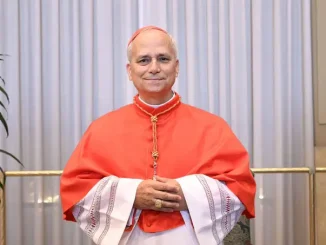 The world needs his light - Pope Leo XIV declares in his first speech