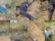 Troops Kill 21 Terrorists In Katsina