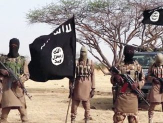 Troops ambush Boko Haram in Borno, recover bodies of neutralised insurgents