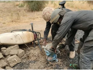 Troops kill 2 bandits, recover 22 rustled cows in Kaduna