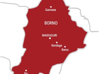 Troops kill five terrorists, rescue 38 family members in Borno