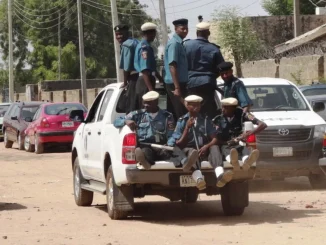Yobe Hisbah seizes 209 cartons of alcohol, shuts down brothel 