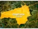 Zamfara: Local security outfit, Yansakai takes over control in Mayanchi Junction, Anka